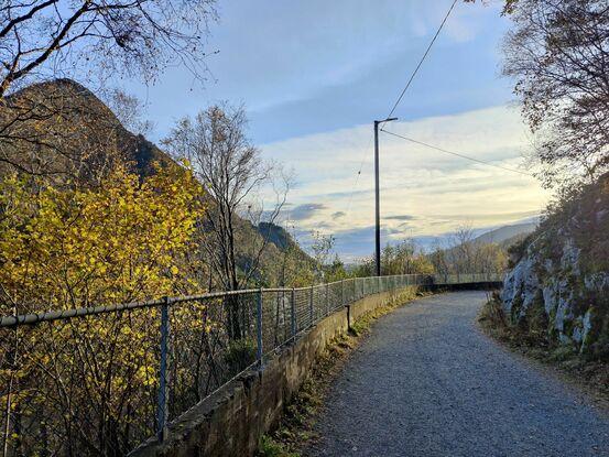 Svartediket rett ved min bolig