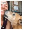Tricia: Erfaren og kjærlig hundepasser!